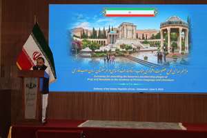 فرهنگ پاکستان با زبان فارسی پیوندی عمیق دارد